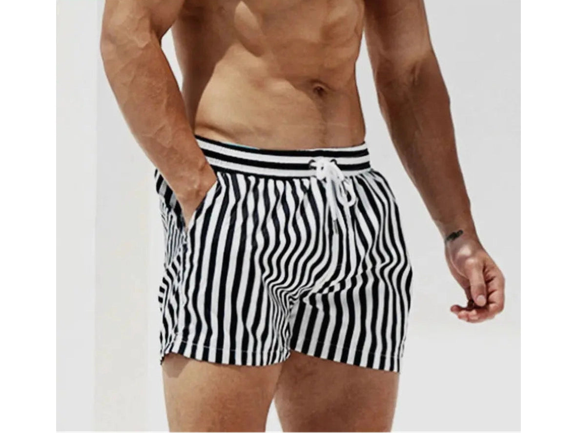 Gay Swim Shorts | DESMIIT Swimwear Lined Stripe Swim Shorts