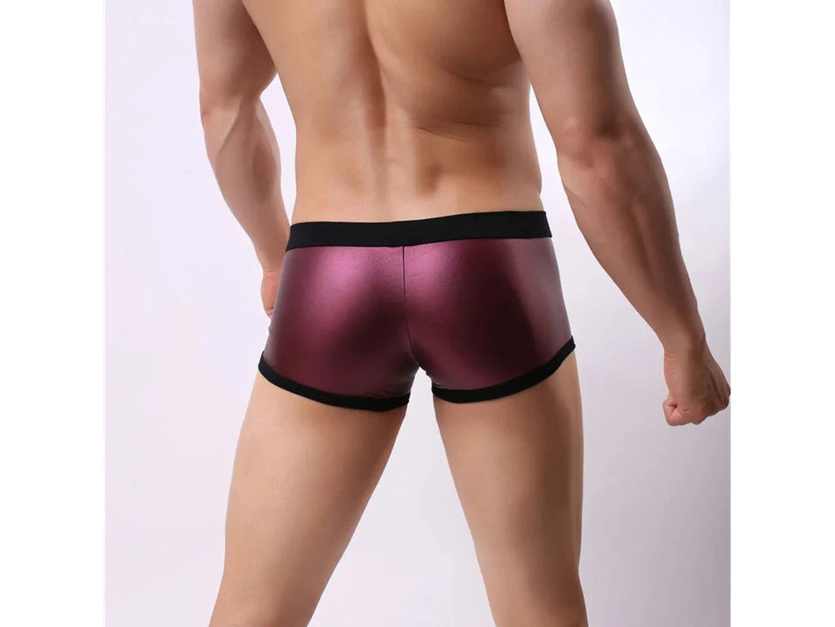 Gay Swim Trunks | BRAVE PERSON Sport Swim Trunks