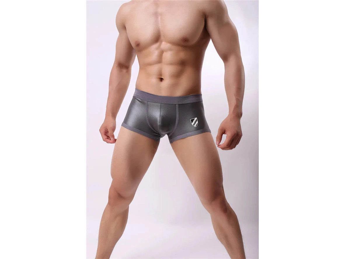 Gay Swim Trunks | BRAVE PERSON Sport Swim Trunks