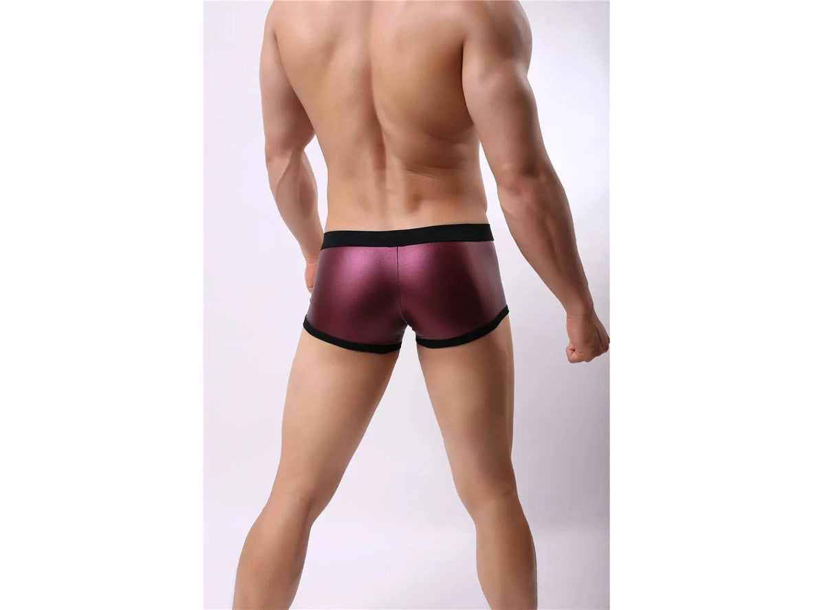 Gay Swim Trunks | BRAVE PERSON Sport Swim Trunks