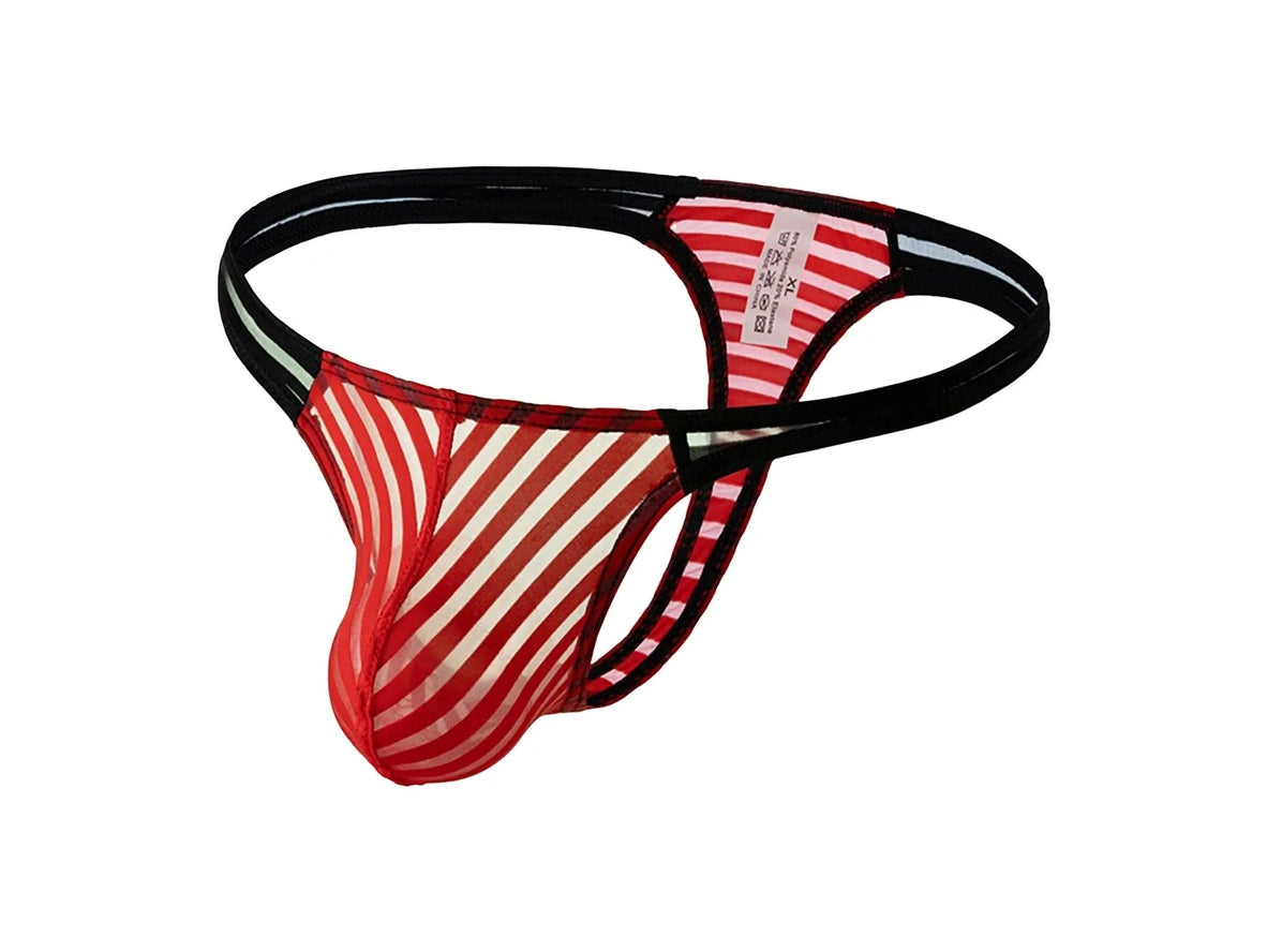 Gay Thongs | Color Blocked Translucent Thong