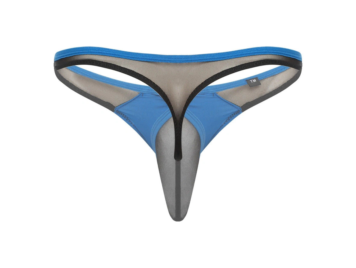 Gay Thongs | Sheer Mesh Sheath T-Back Thong
