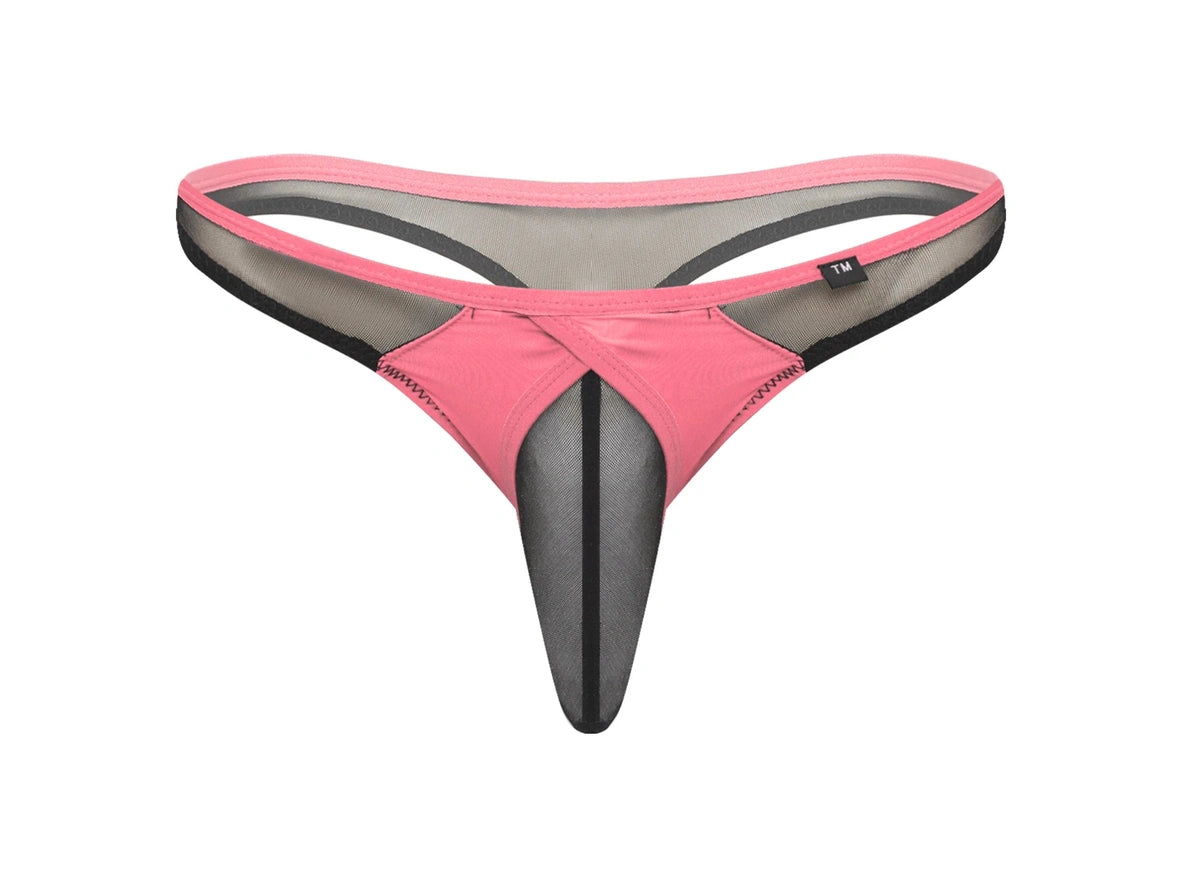 Gay Thongs | Sheer Mesh Sheath T-Back Thong