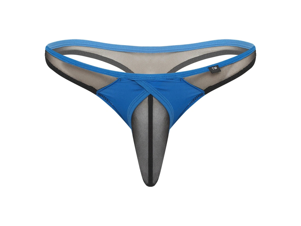 Gay Thongs | Sheer Mesh Sheath T-Back Thong