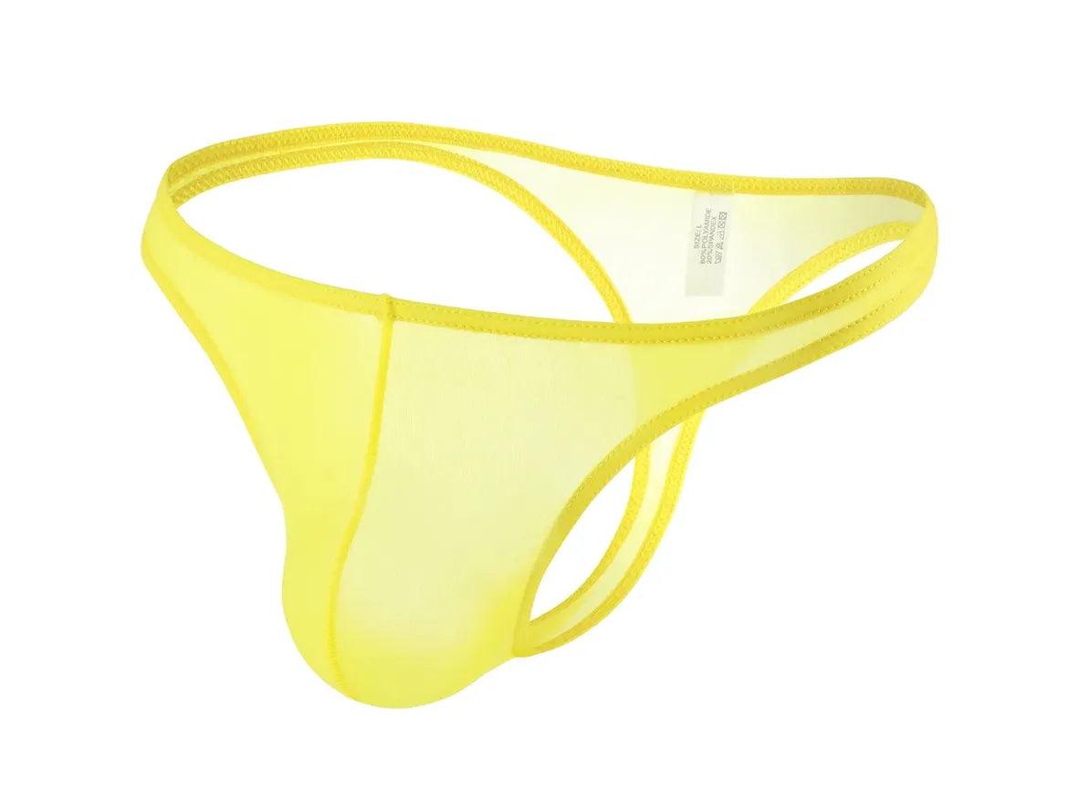 Gay Thongs | Transparent Low-Rise Ice Silk Underwear Thongs