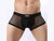 Gay Boxer Briefs | BRAVE PERSON Underwear Mesh Boxer Briefs