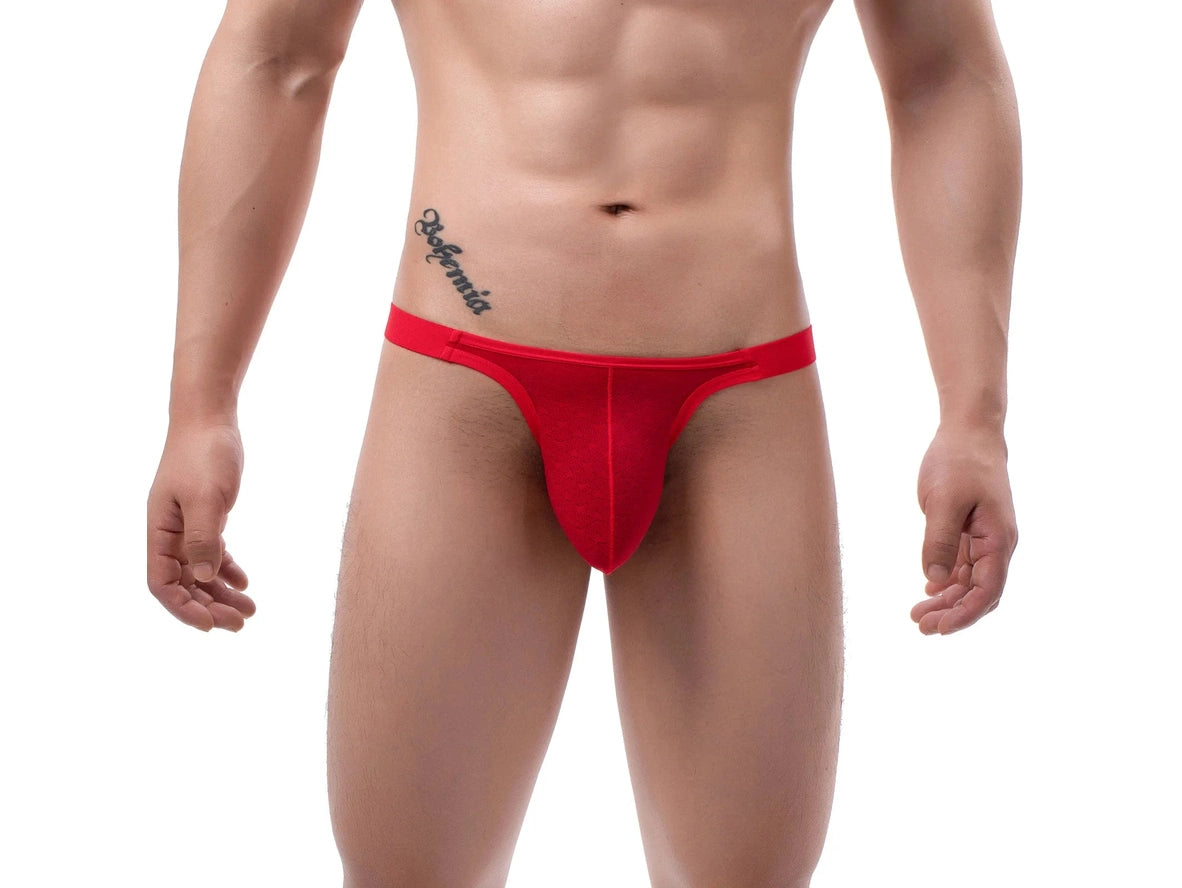 Hidden Heat – Micro Sheer Gay Thong