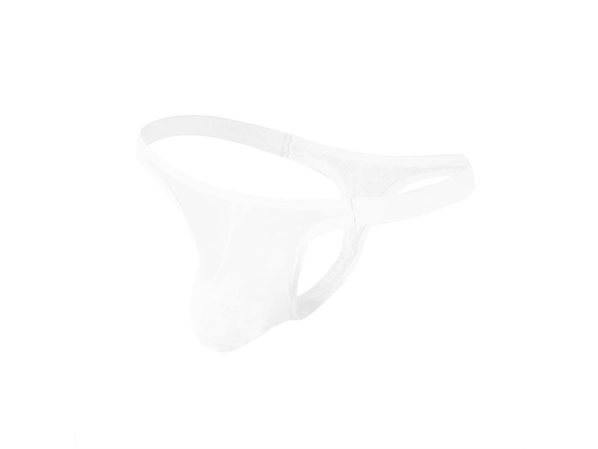 Hidden Heat – Micro Sheer Gay Thong