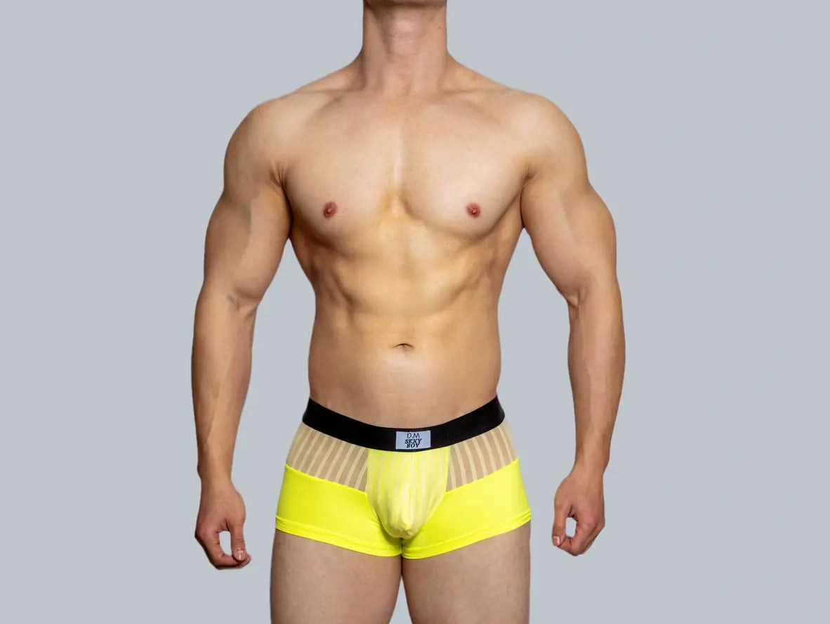 Gay Boxer Briefs | D.M Underwear "Sexy Boy" Mesh Boxer-Briefs