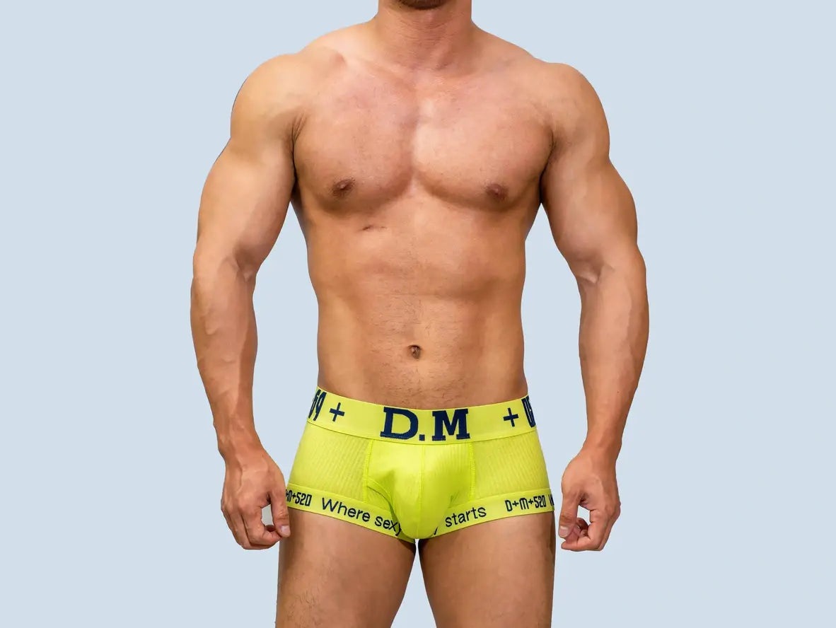Gay Boxer Briefs | D.M Low Waist Comfort Pouch Boxer Brief