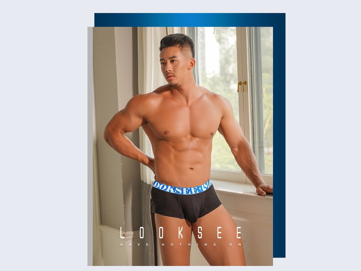 Gay Boxer Briefs | LOOK SEE Underrwear Sexy Breathable Boxer Briefs