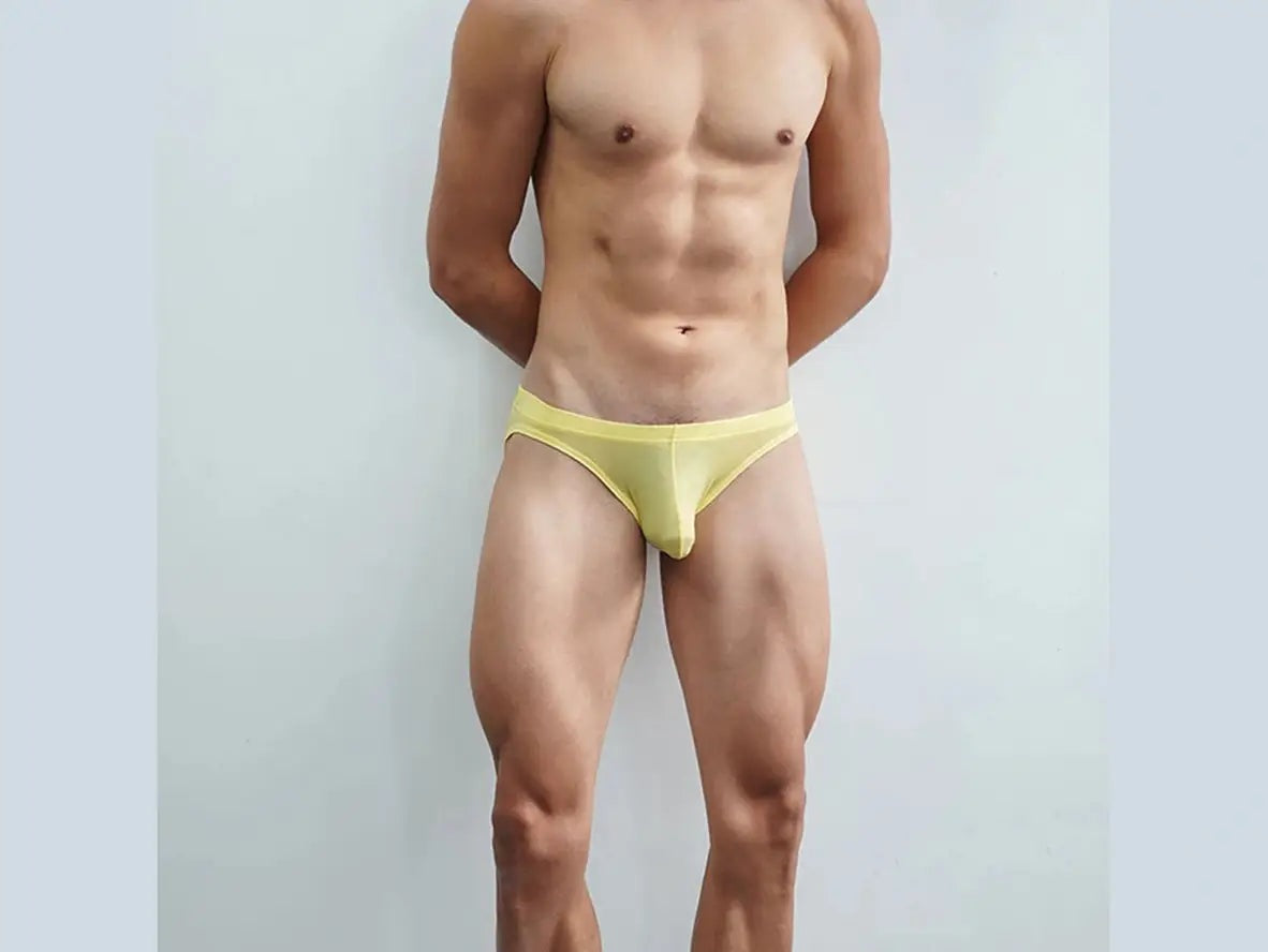 Gay Briefs | Ice Silk Sexy Underwear Briefs