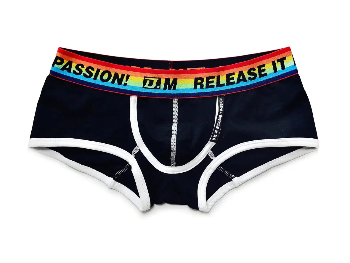 Gay Boxer Briefs | D.M Release the Passion Pride Boxer Briefs