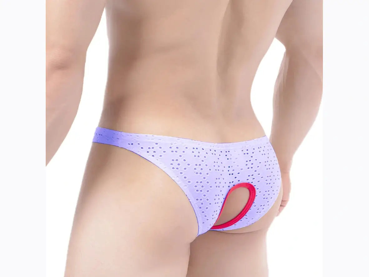 Gay Briefs | Sexy Lingerie Low-Rise Underwear Briefs