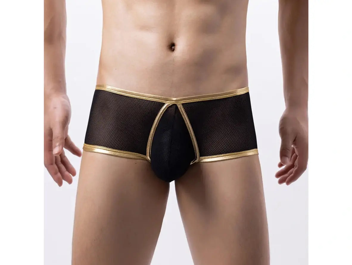 Gay Boxer Briefs | Sexy Mesh Transparent Underwear Boxer Briefs