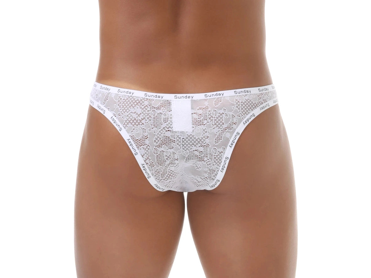 Sheer Bliss – Transparent Lace Gay Briefs