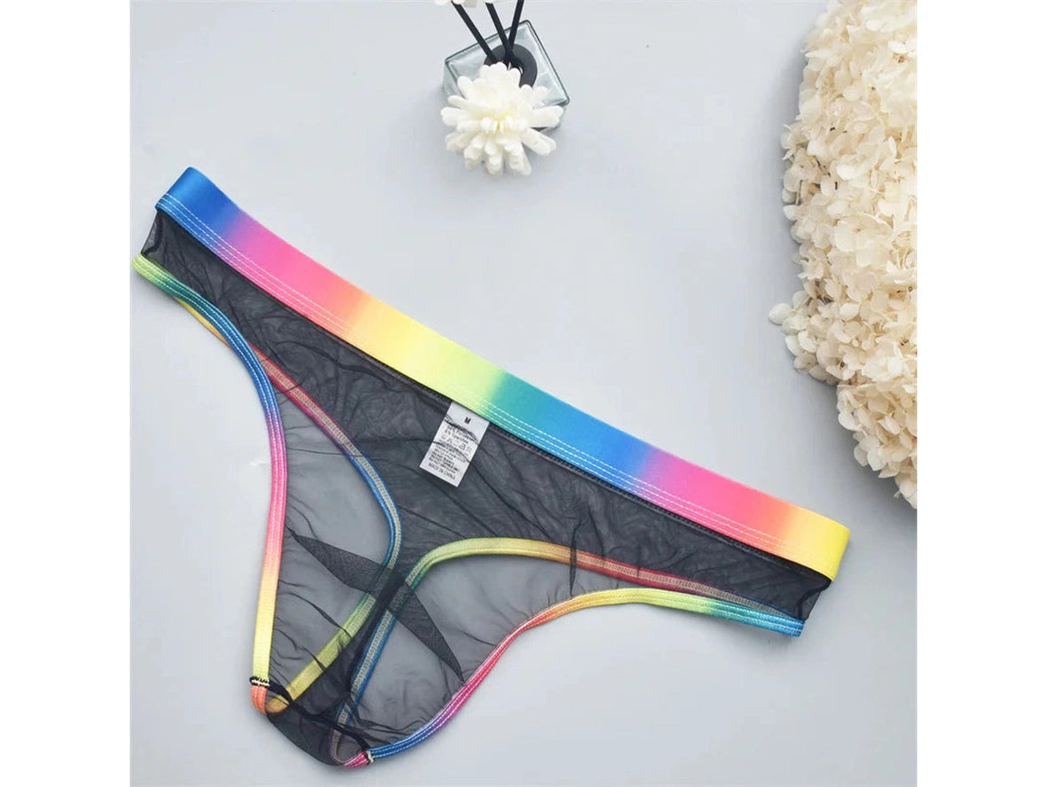 Sheer Motion – Transparent Micro Mesh Gay Thong