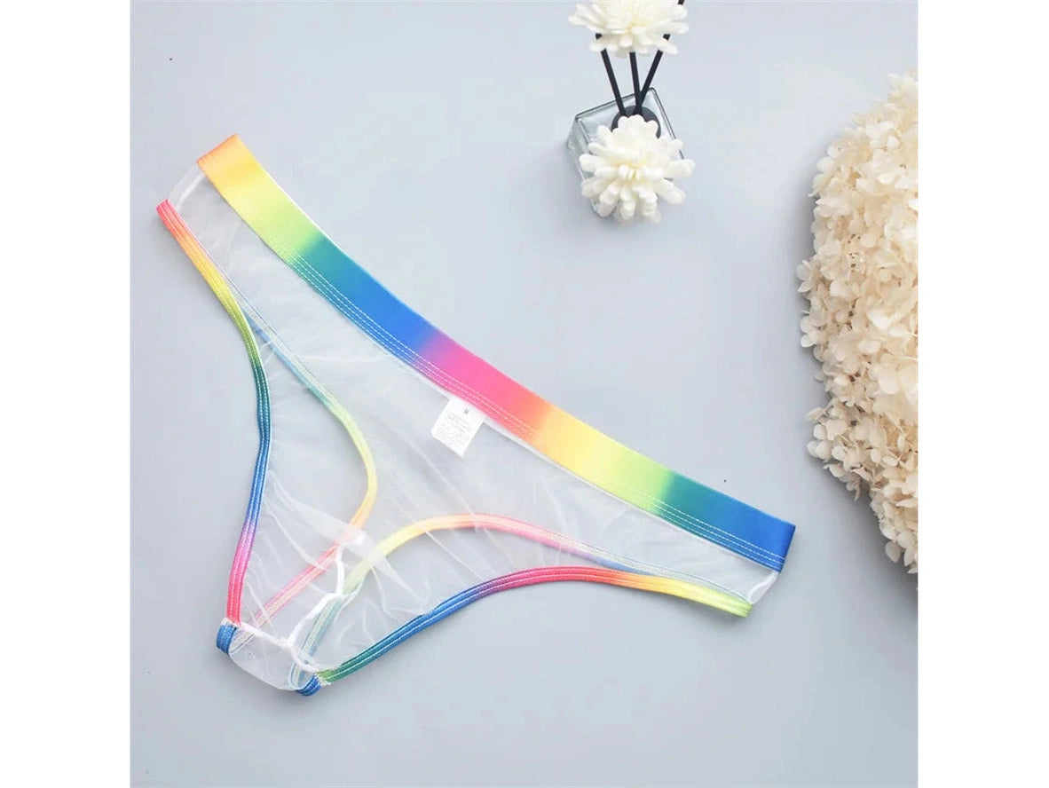 Sheer Motion – Transparent Micro Mesh Gay Thong