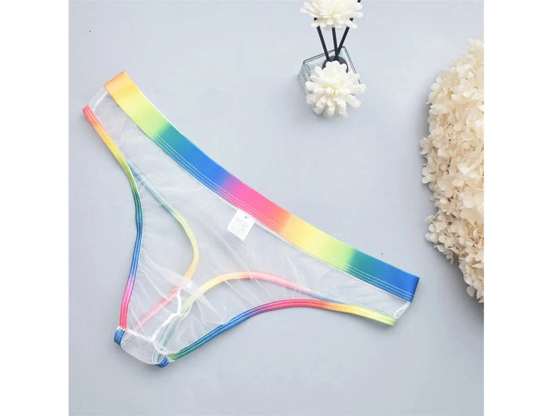 Sheer Motion – Transparent Micro Mesh Gay Thong