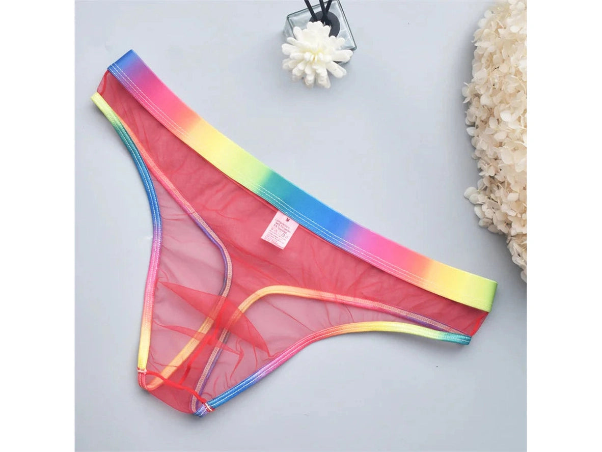 Sheer Motion – Transparent Micro Mesh Gay Thong