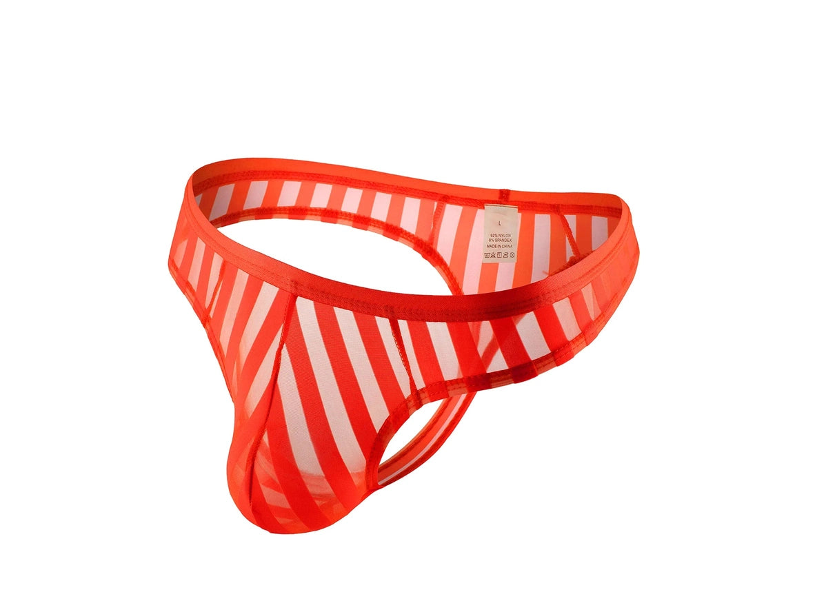 Stripe Tease – Sheer Mesh Gay Thong