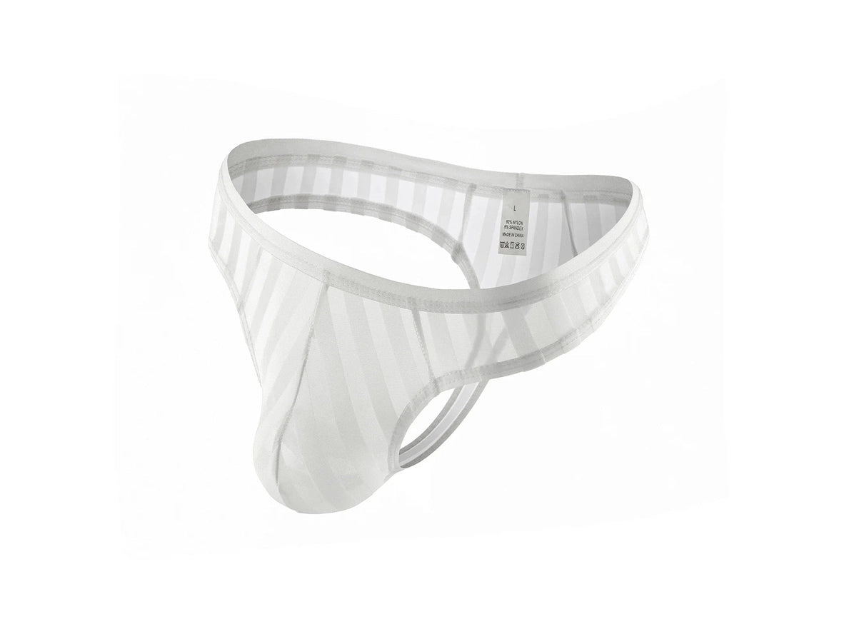Stripe Tease – Sheer Mesh Gay Thong