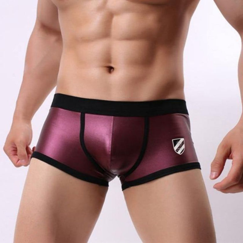 Swim Trunks - Skin Tight Bright Colors, Bold stripes, to Creative Prints Sexy Gay Swim Trunks.