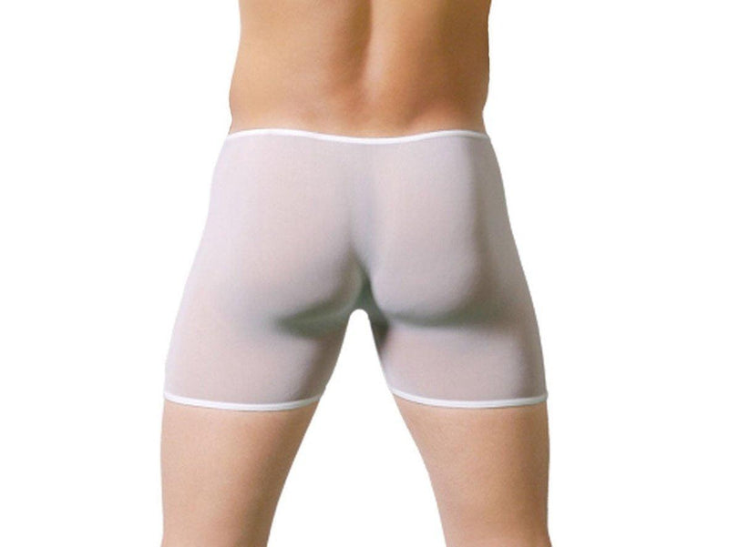 Gay Boxer Briefs | CIOKICX Sexy Thin Transparent Bulge Pouch Briefs