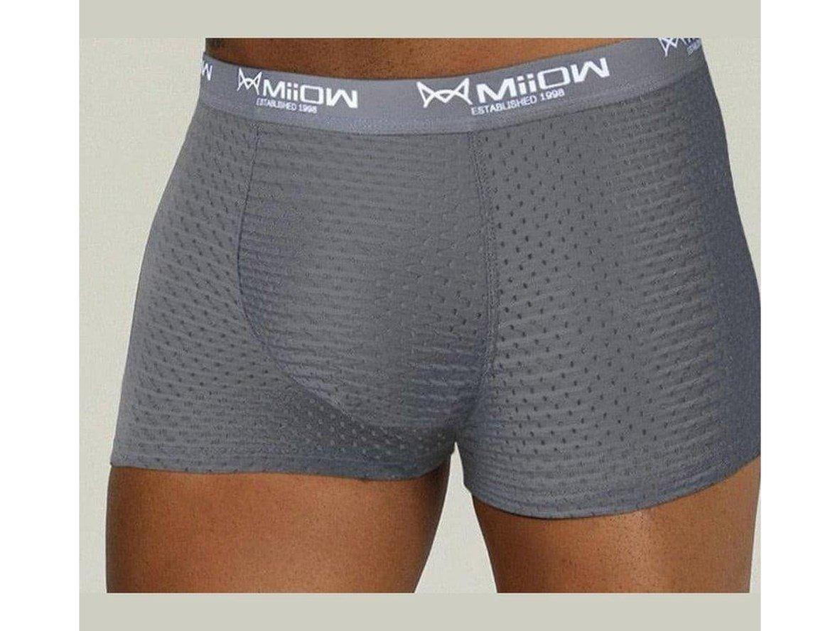 Gay Boxer Briefs | MiiOW Underwear Sexy Mesh Boxer Briefs