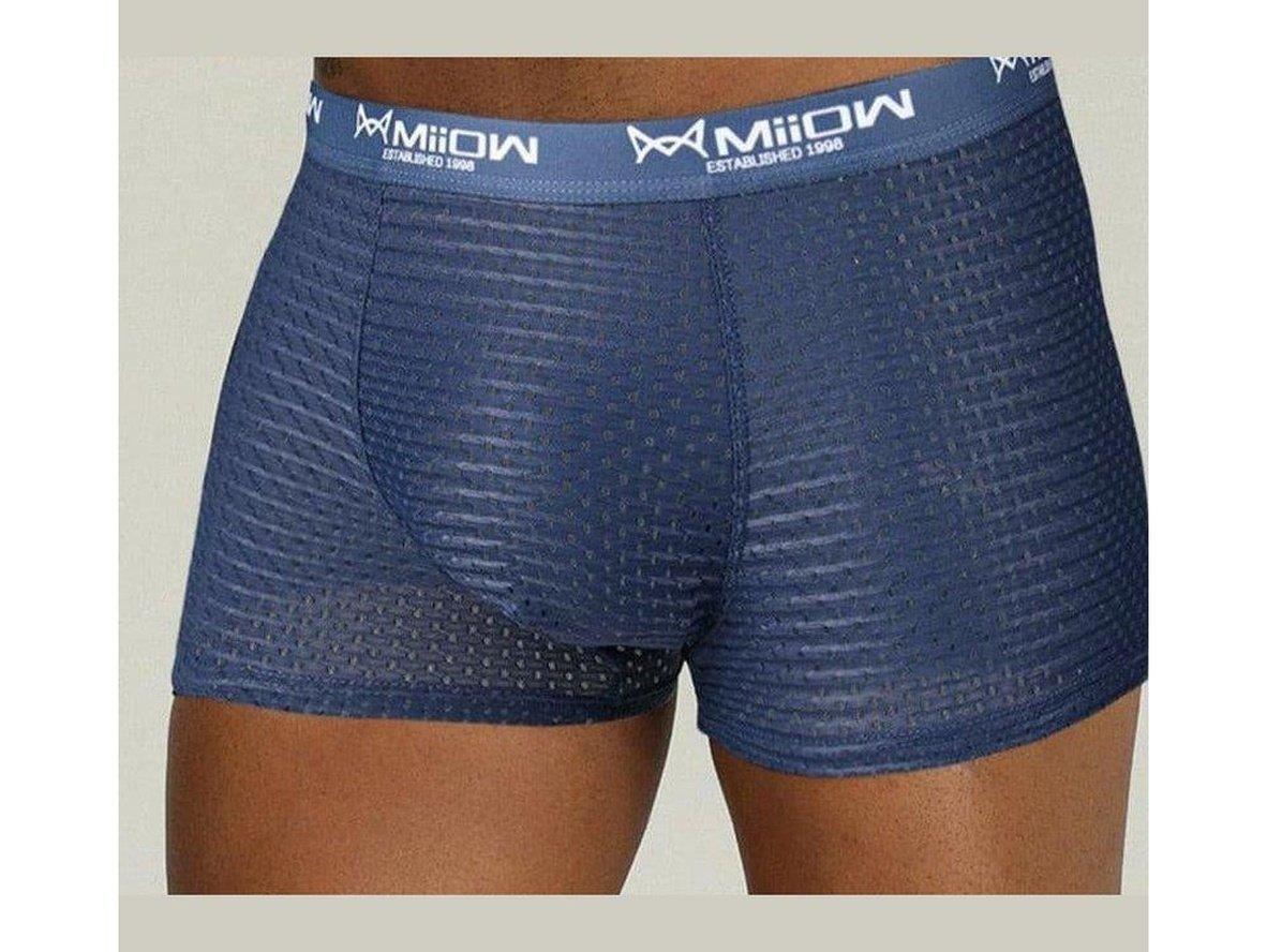 Gay Boxer Briefs | MiiOW Underwear Sexy Mesh Boxer Briefs