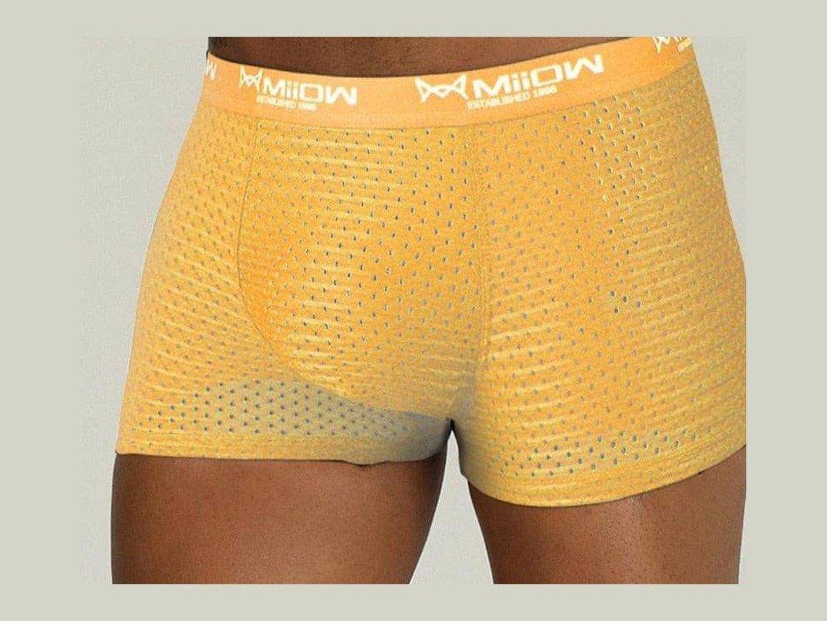 Gay Boxer Briefs | MiiOW Underwear Sexy Mesh Boxer Briefs