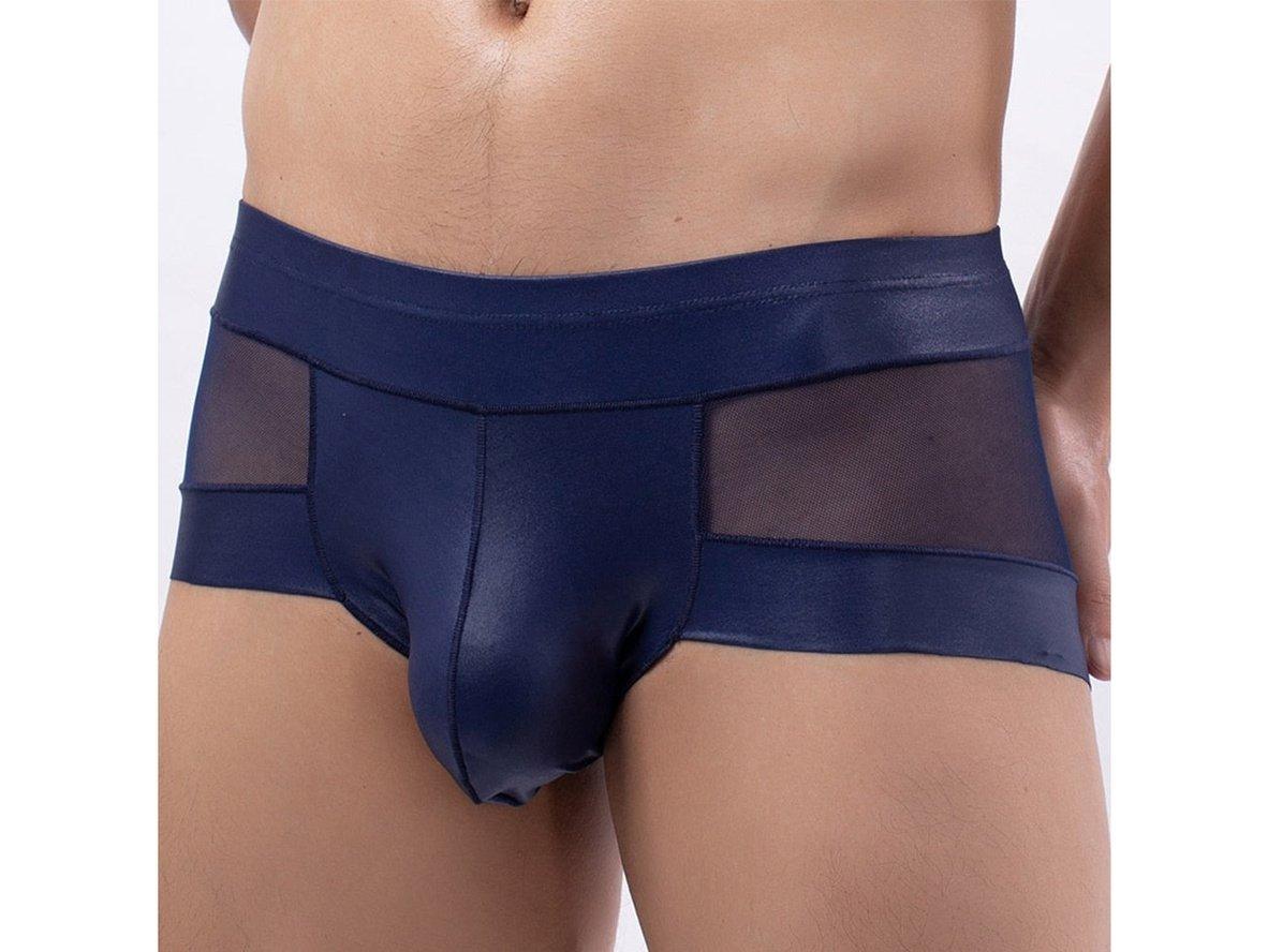 Gay Boxer Briefs | Sexy Mesh See-Through Boxers