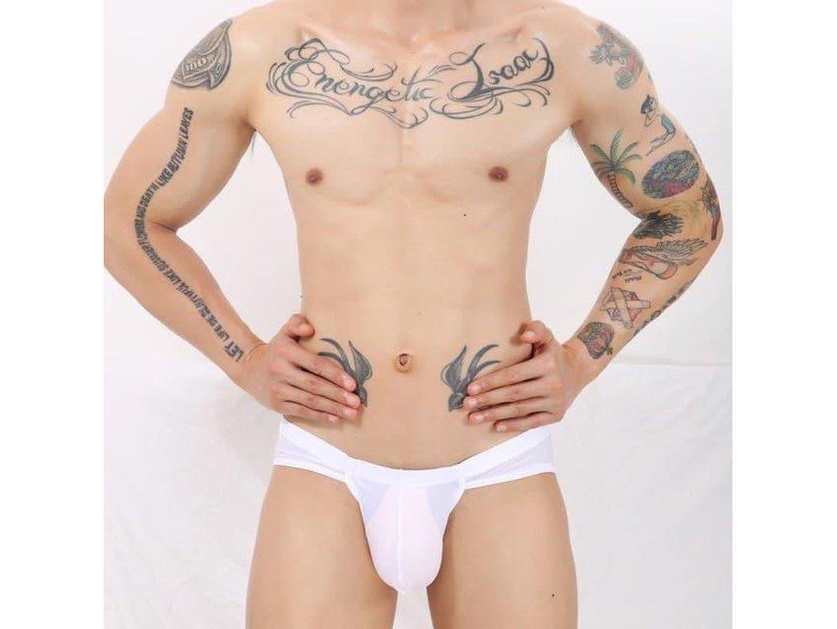 Gay Briefs | CLEVER-MENMODE Underwear Ultra-Thin Large Pouch Briefs