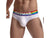 Gay Briefs | JOCKMAIL Underwear Cotton Pride Briefs