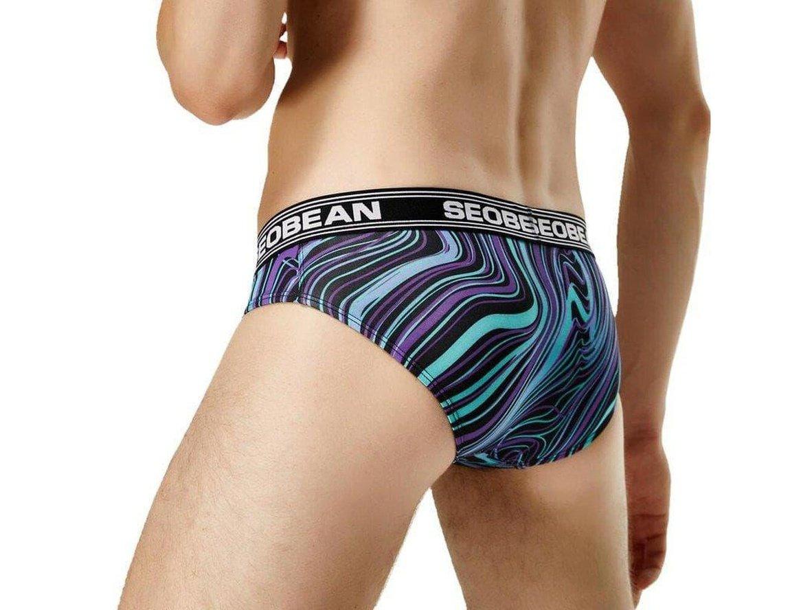 Gay Briefs | SEOBEAN Underwear Sexy Low-Rise Fashion Briefs