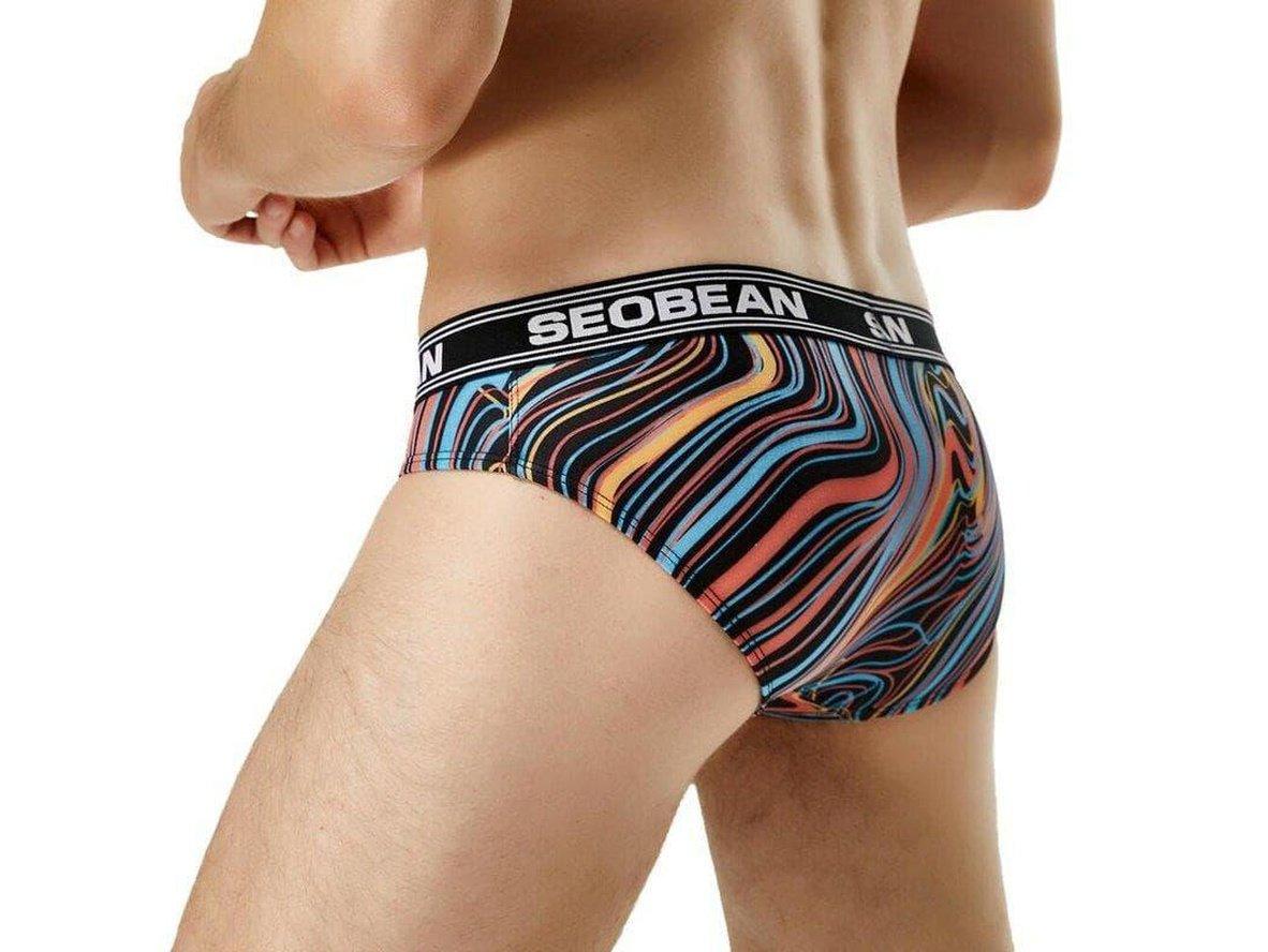 Gay Briefs | SEOBEAN Underwear Sexy Low-Rise Fashion Briefs