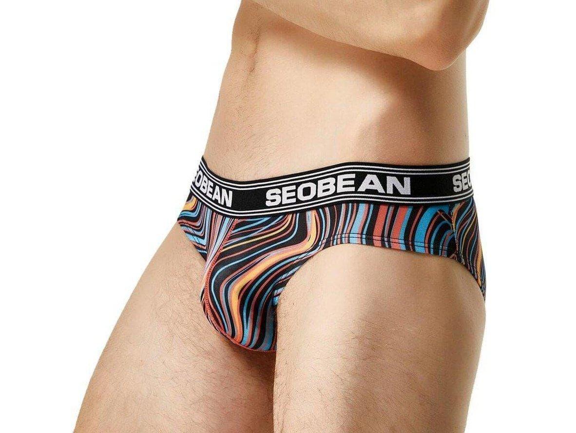 Gay Briefs | SEOBEAN Underwear Sexy Low-Rise Fashion Briefs
