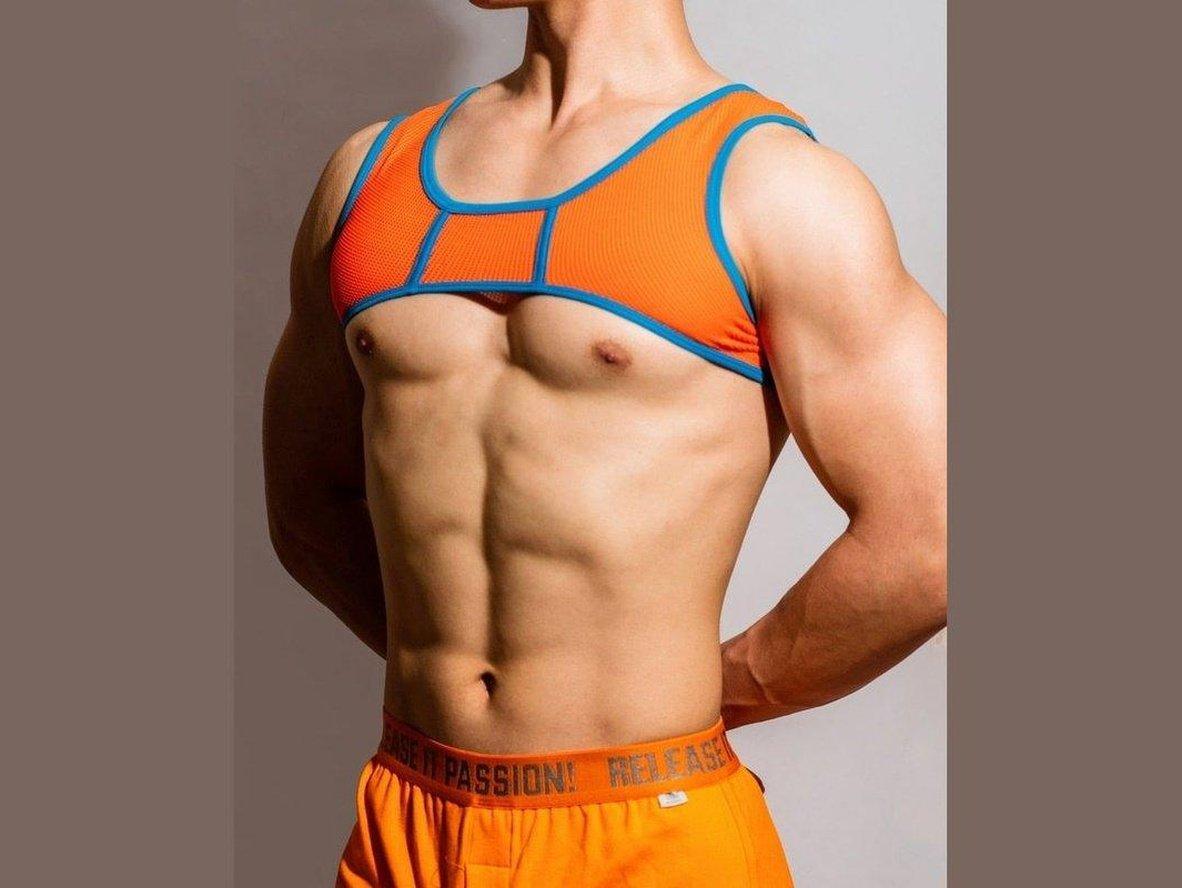 Gay Harness | Fashion Harness Elastic Shoulder Chest Straps