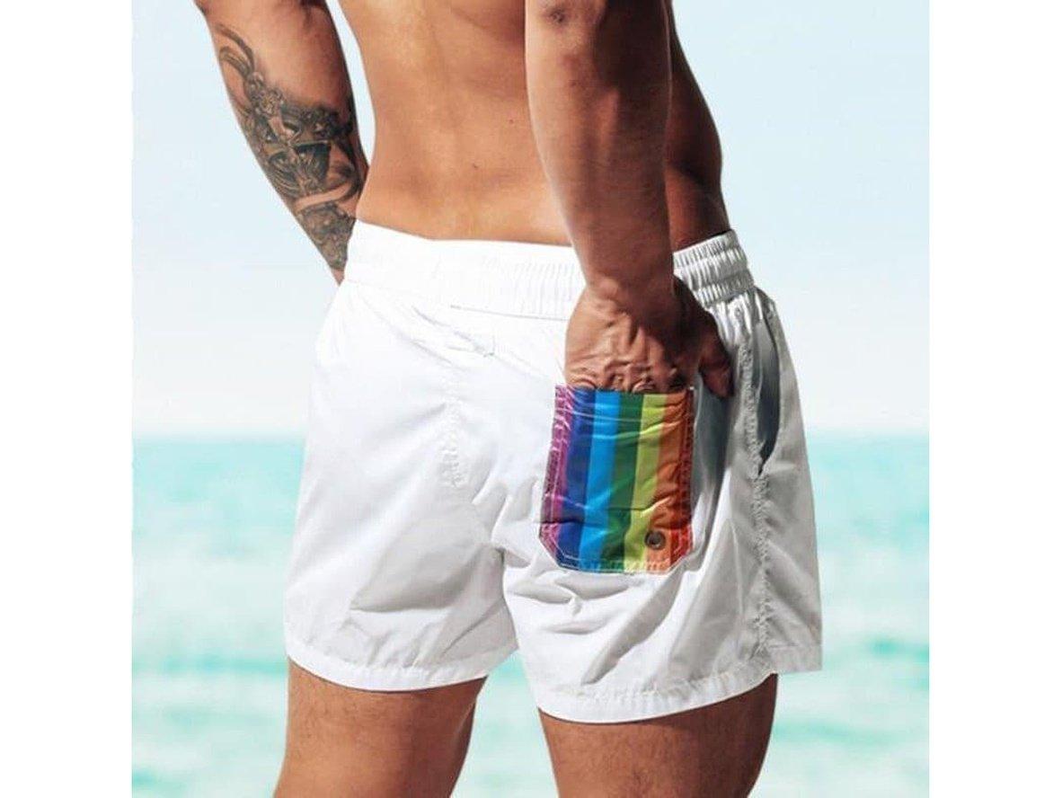 Gay Swim Shorts | DESMIIT Swimwear Rainbow Lined Swim Shorts