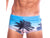 Gay Swim Trunks | TADDLEE Swimwear Swim Trunks