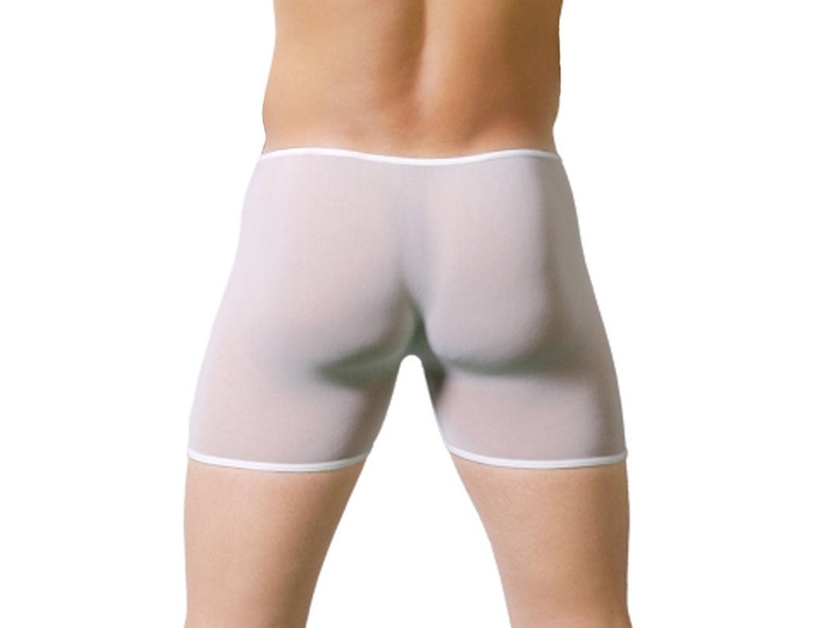 Gay Boxer Briefs | CIOKICX Underwear Sexy Thin Transparent Bulge Pouch Briefs