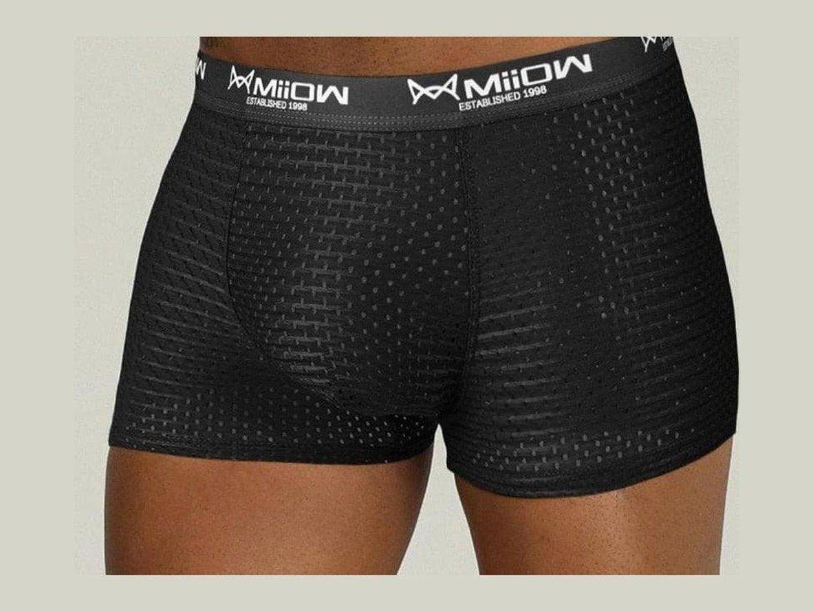 Gay Boxer Briefs | MiiOW Underwear Sexy Mesh Boxer Briefs